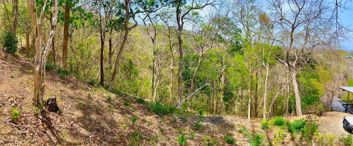 Small ocean view lot at Playa Maderas - Imagen 3