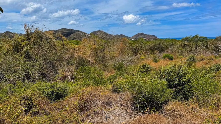Lomas de Palermo 1.88 Acres with Stunning Ocean Views