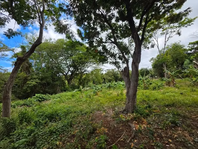 Terreno en venta a orilla de la Costanera en San Juan del Sur ml - Imagen 3