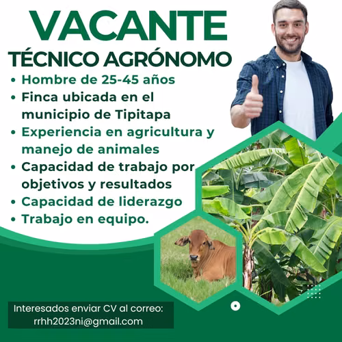 SUPERVISOR TÉCNICO AGRÓNOMO