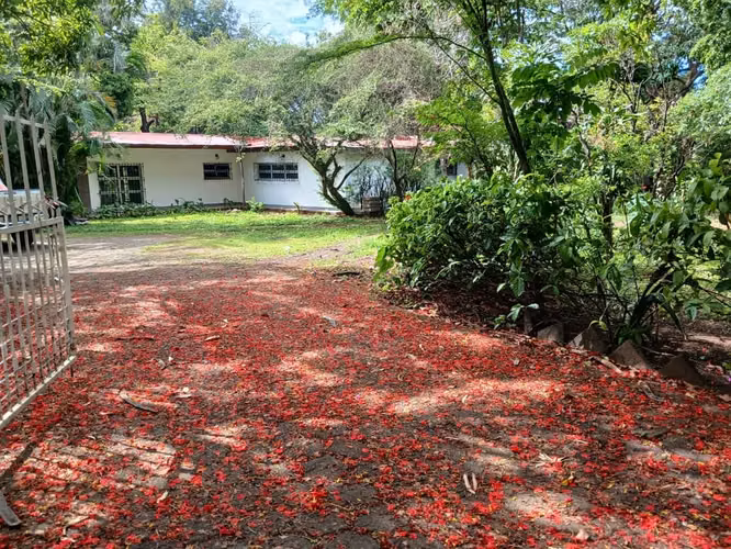 CASA ESTILO QUINTA EN RENTA CARRETERA SUR KM10.5 - Imagen 1