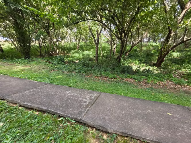 Terreno en Venta en Balcones de Santo Domingo, Managua | 2,551.15 v² | US$140,000 - Imagen 11