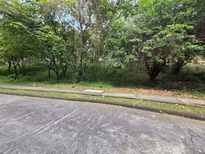 Terreno en Venta en Balcones de Santo Domingo, Managua | 2,551.15 v² | US$140,000 - Imagen 7
