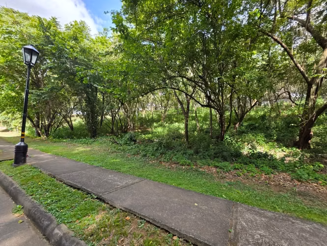 Terreno en Venta en Balcones de Santo Domingo, Managua | 2,551.15 v² | US$140,000 - Imagen 10