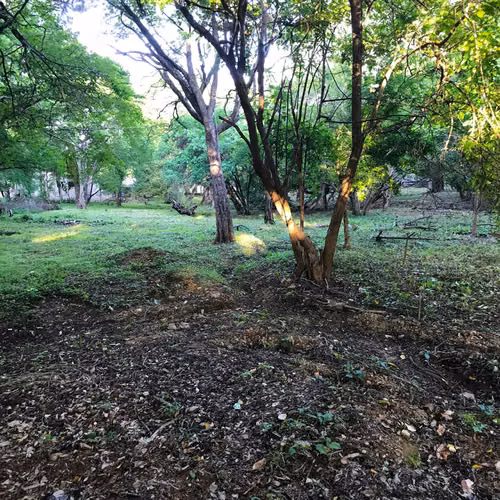 Exceptional Beach Lot in Hacienda Iguana, Nicaragua   B 20 - Imagen 3