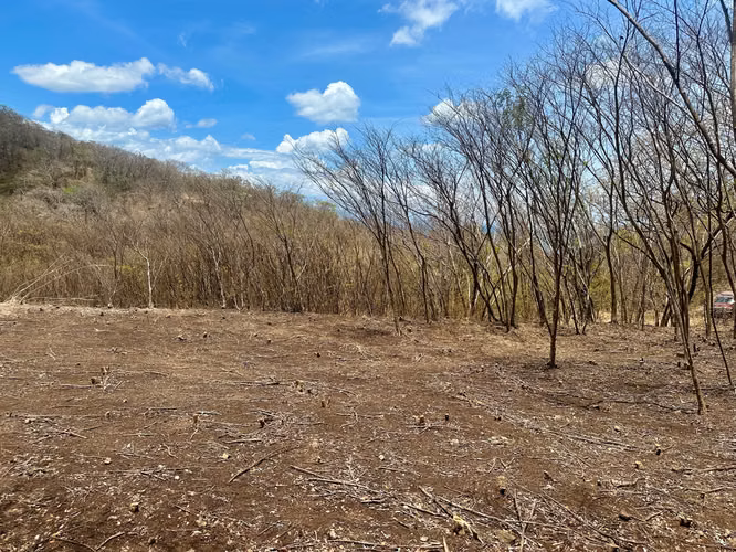 Tranquil Flat Lot Near the Beautiful Playa Yankee - Imagen 4