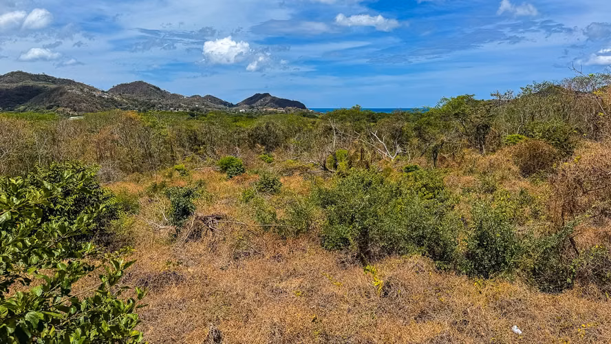 Lomas de Palermo 1.88 Acres with Stunning Ocean Views - Imagen 4