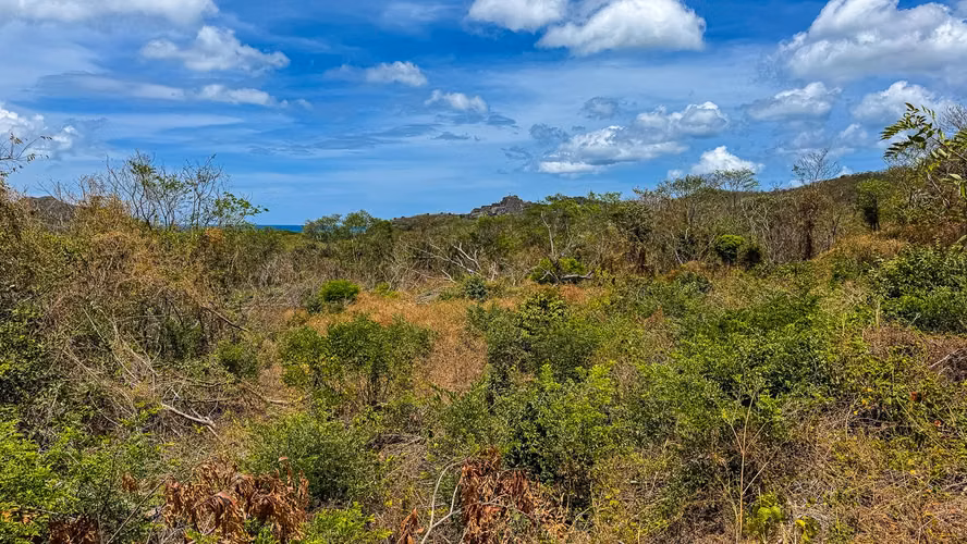 Lomas de Palermo 1.88 Acres with Stunning Ocean Views - Imagen 2