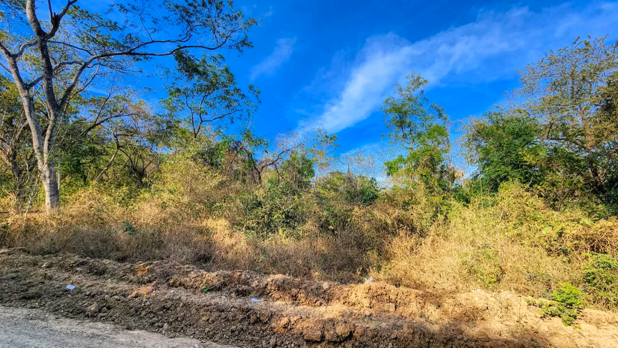 Ideal Location for Commercial or Residential Development, along the Road to Playa Majagual. - Imagen 2