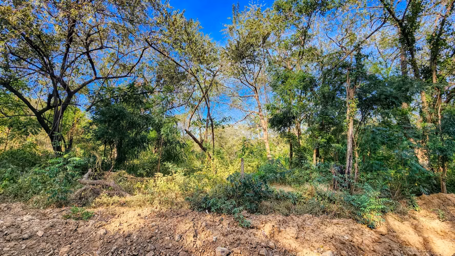 Ideal Location for Commercial or Residential Development, along the Road to Playa Majagual. - Imagen 3