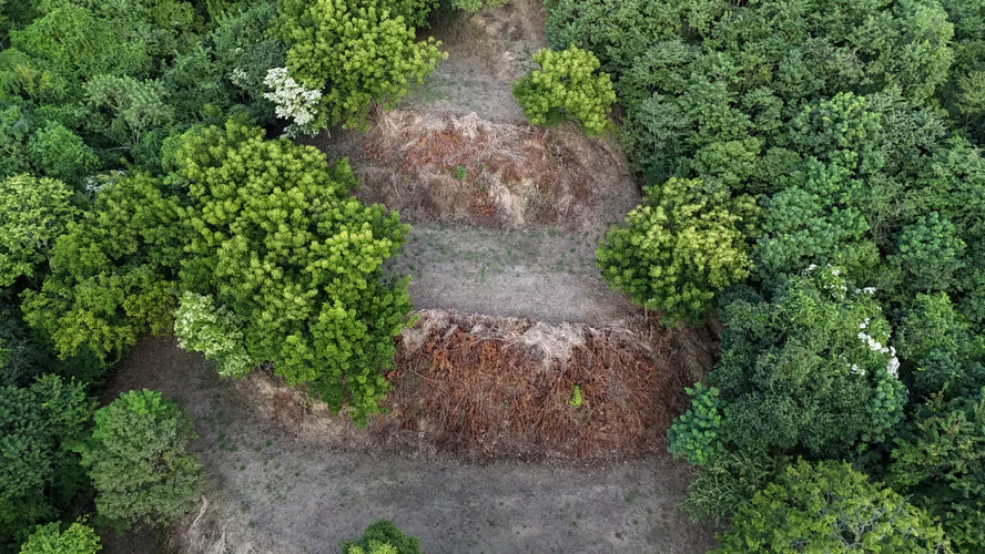 Real Estate Opportunity in Los Lamosos - Imagen 3