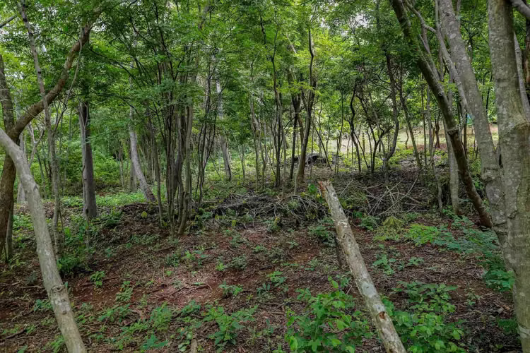 1 2 Acre Property in Popoyo with Breathtaking Views