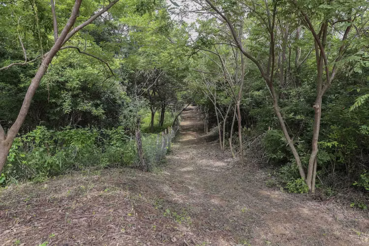 Prime 1 3 Acre Lot in Popoyo with View