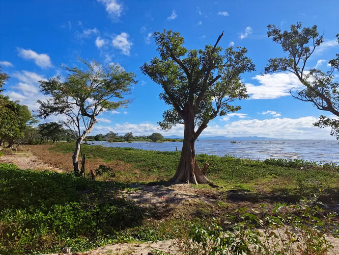 Lakefront Cattle Ranch and Development Opportunity in Nicaragua