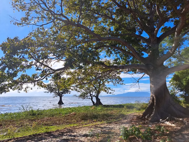 Lakefront Cattle Ranch and Development Opportunity in Nicaragua - Imagen 3