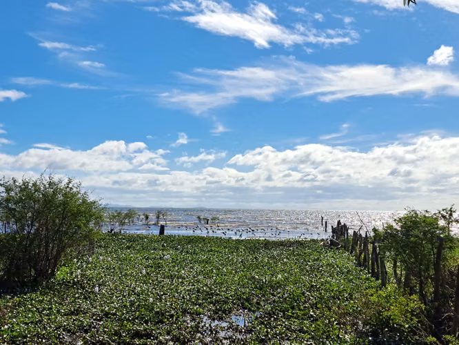 Lakefront Cattle Ranch and Development Opportunity in Nicaragua - Imagen 4