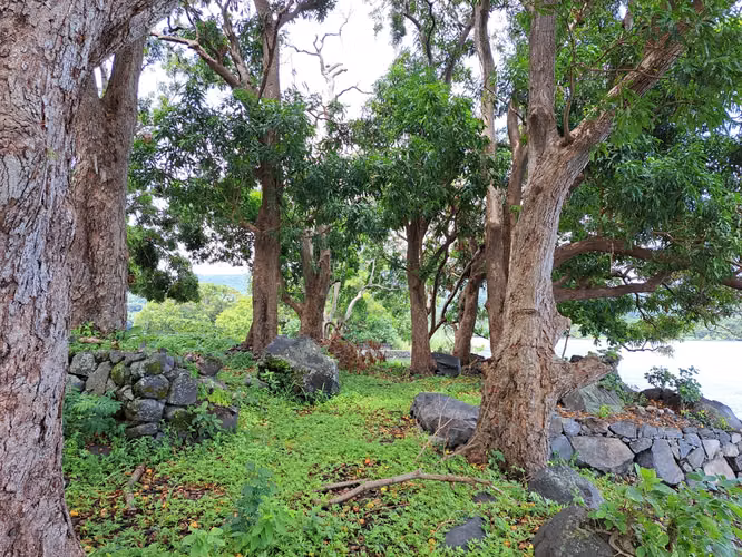 Isleta El Coyol Stunning Island in Las Isletas de Granada in Nicaragua - Imagen 3