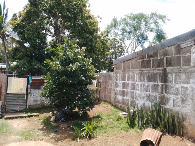 EN VENTA TERRENO CON CASA - Imagen 8