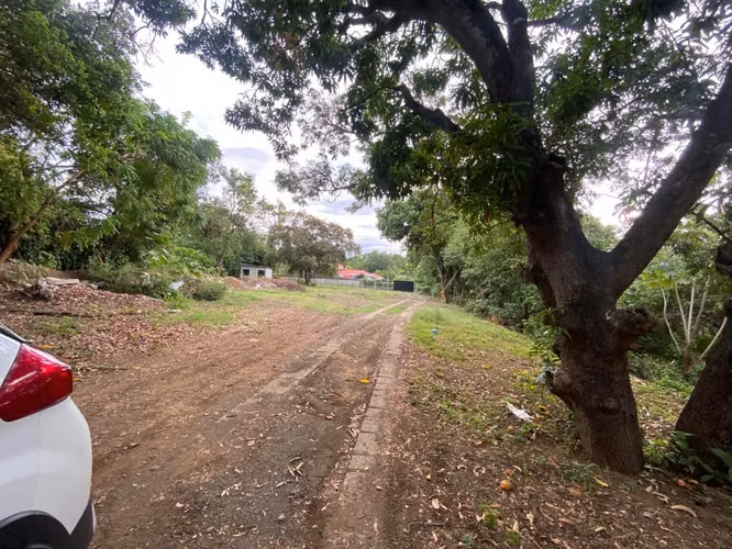 Terreno casi frente a Galerías Santo Domingo, camino viejo a Santo Domingo. - Imagen 3