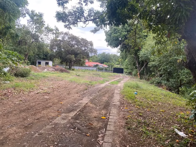 Terreno casi frente a Galerías Santo Domingo, camino viejo a Santo Domingo. - Imagen 6