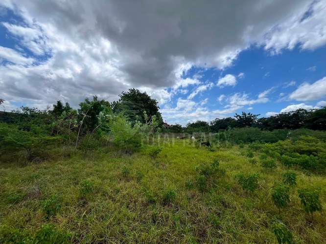 Lot for sale in Las Jaguitas