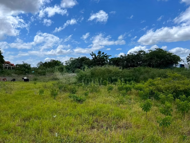 Terreno en venta en Las Jaguitas - Imagen 15