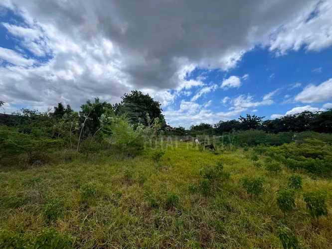 Terreno en venta en Las Jaguitas - Imagen 1