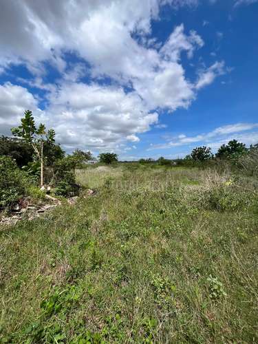 Terreno en venta en Las Jaguitas - Imagen 8