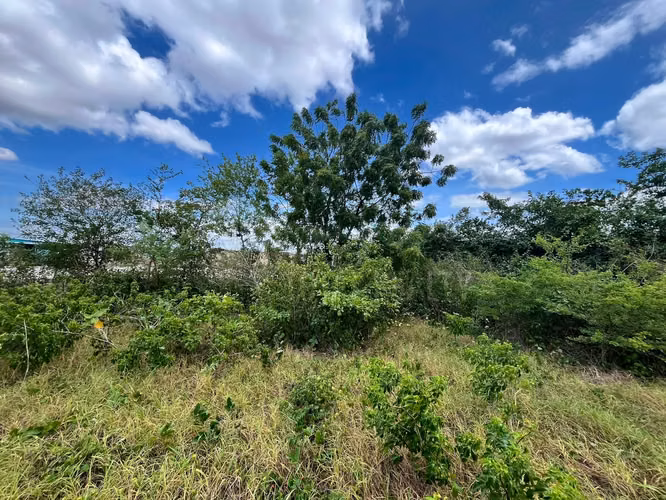 Terreno en venta en Las Jaguitas - Imagen 7