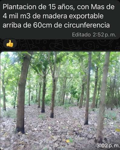 Finca en venta en Chinandega