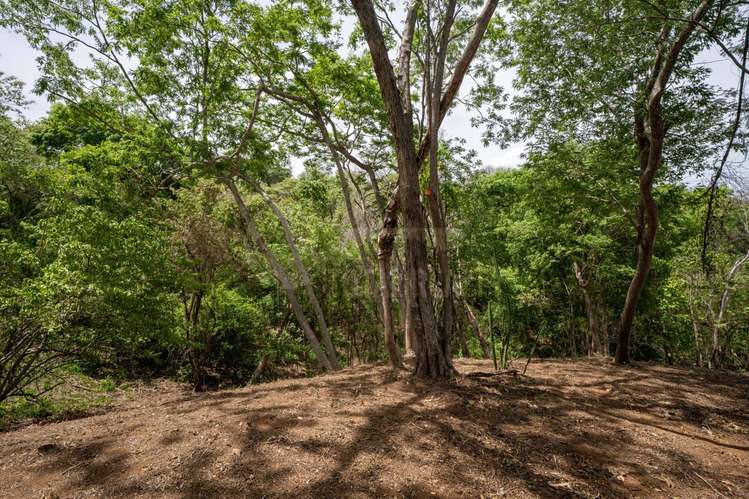 Terreno en venta en Rancho Santana, Tola