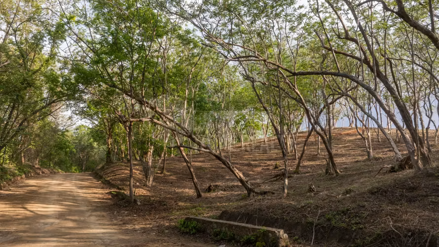 Terreno en venta en Rancho Santana, Tola - Imagen 13