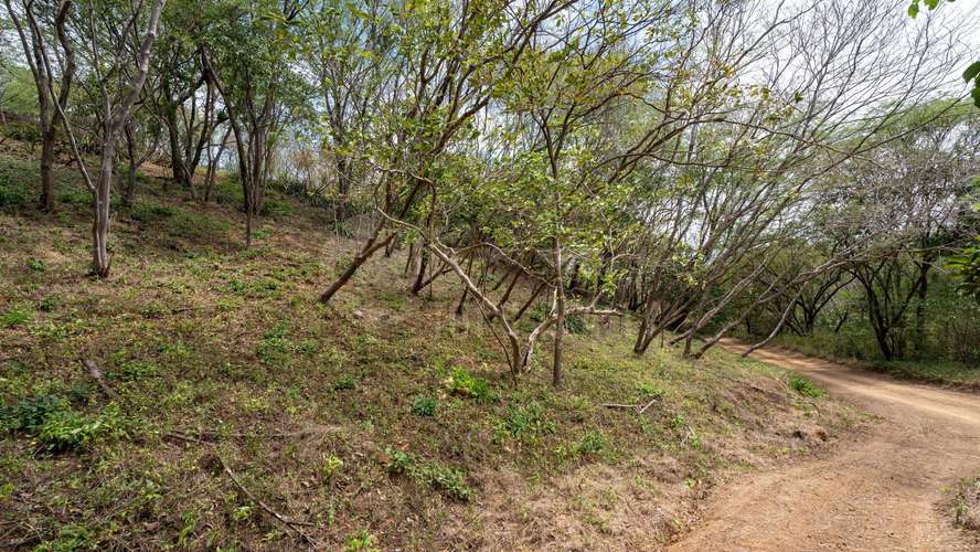 Terreno en venta en Rancho Santana, Tola - Imagen 6