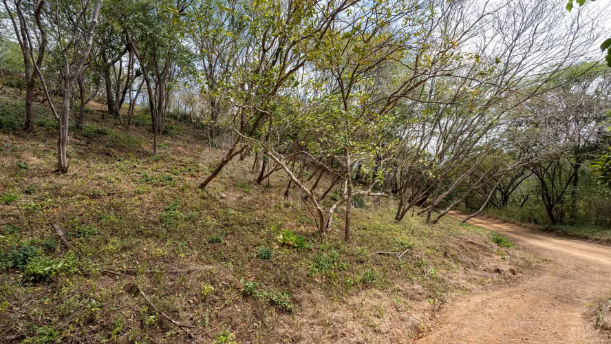 Terreno en venta en Rancho Santana, Tola - Imagen 18