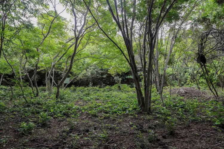 1 2 Acre Property in Popoyo with Breathtaking Views