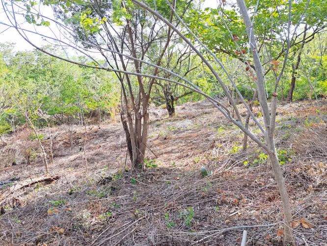 Affordable Ocean View Lot in Playa Guasacate Nicaragua - Imagen 3
