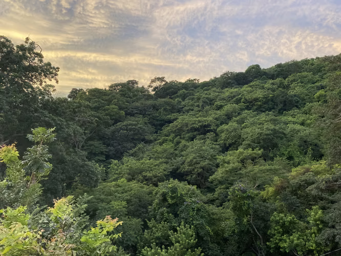2-Story Jungle Apartment with Mountain View – 5 Min Walk to Playa Maderas - Imagen 10