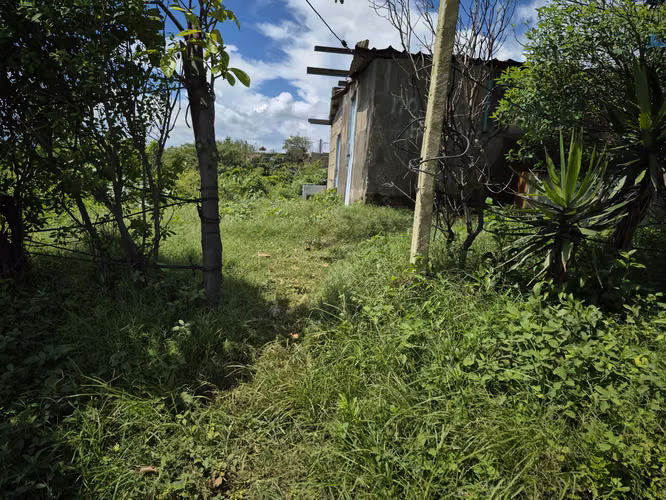 ¡OPORTUNIDAD DE GANGA! PROPIEDAD EN VENTA – CARRETERA CARAZO