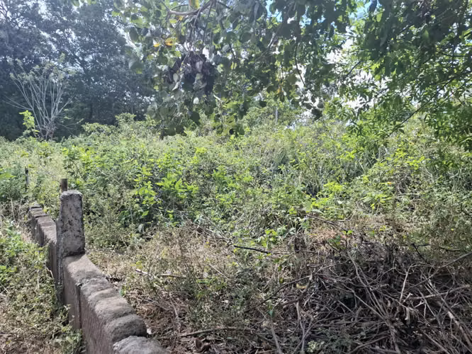 !! Venta, terreno de 10,000 Vrs2 en Ticuantepe !! - Imagen 3