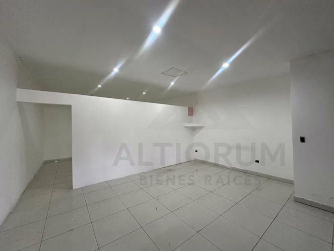 LOCAL COMERCIAL EN RENTA EN BOLONIA - Imagen 2