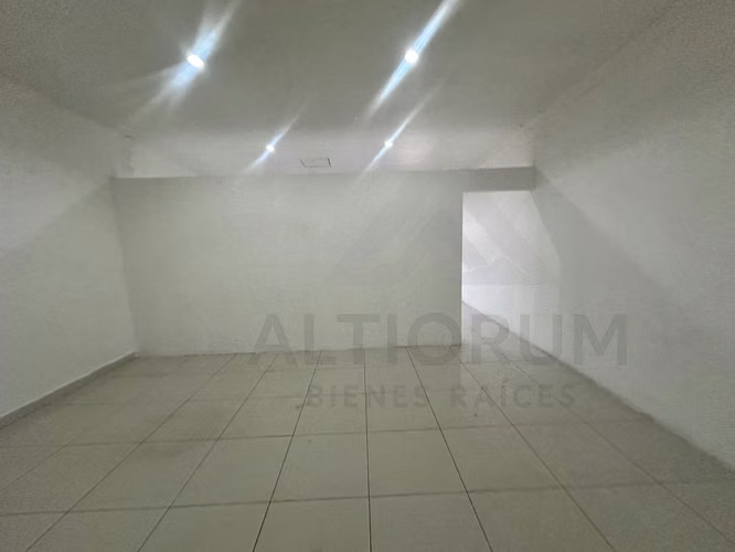 LOCAL COMERCIAL EN RENTA EN BOLONIA - Imagen 5