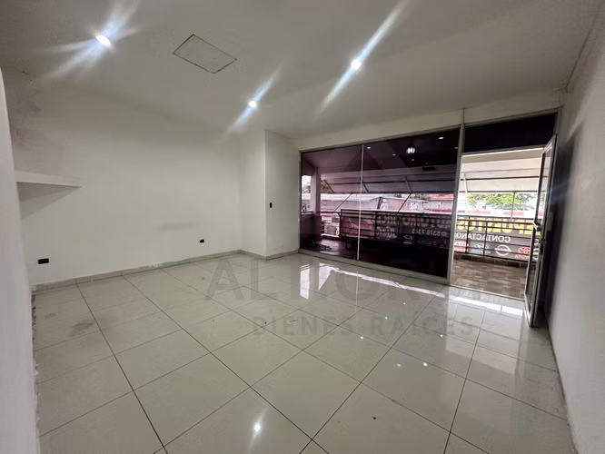 LOCAL COMERCIAL EN RENTA EN BOLONIA