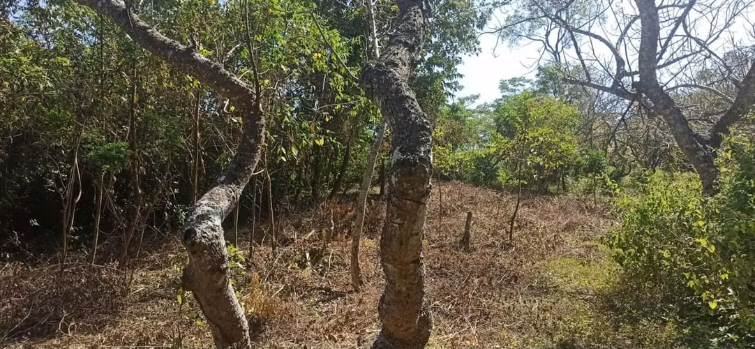 Terreno Turistico El Hatillo Masaya