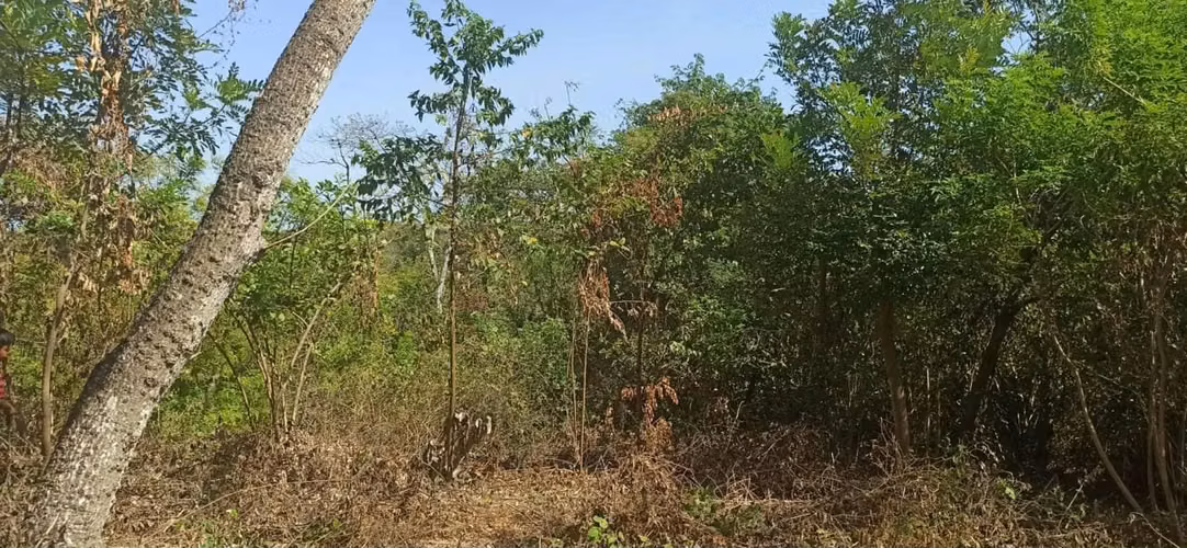 Terreno Turistico El Hatillo Masaya