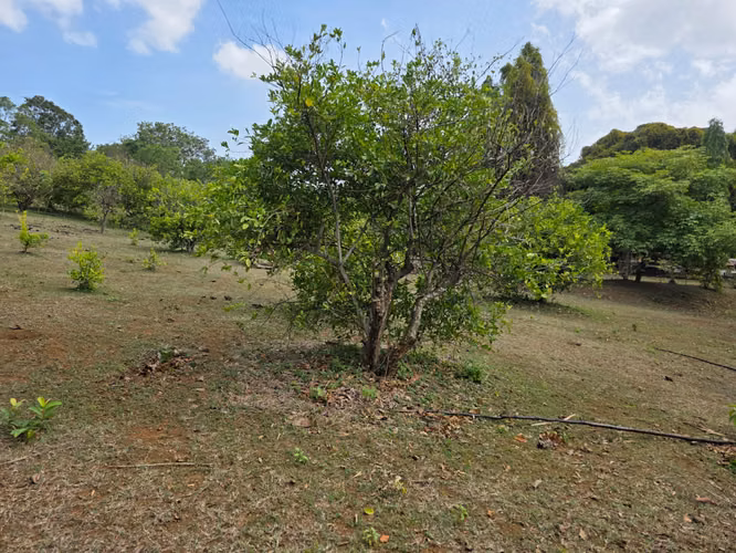 FH  | En Venta Terreno | Obeliscos de Santo Domingo - Imagen 20