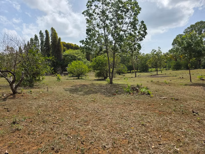 FH  | En Venta Terreno | Obeliscos de Santo Domingo - Imagen 11