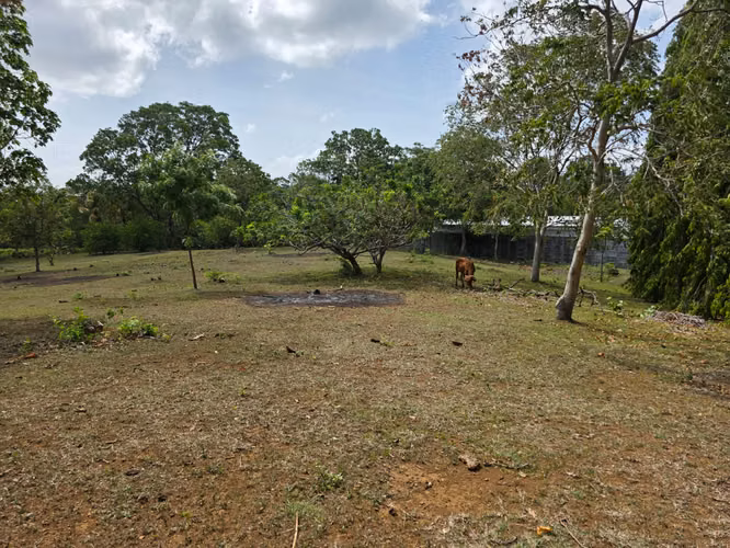FH  | En Venta Terreno | Obeliscos de Santo Domingo - Imagen 8