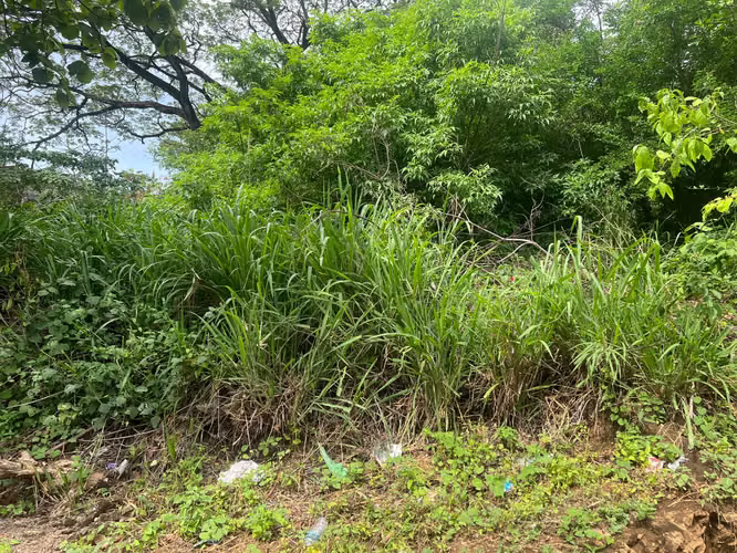 Venta de Terreno en Carretera Sur  - Imagen 11