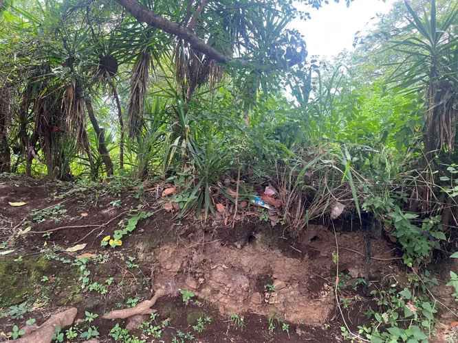 Venta de Terreno en Carretera Sur  - Imagen 7