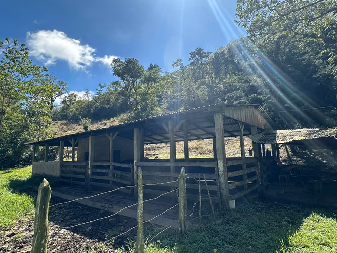 SE VENDE FINCA: 50 MANZANAS EN COMARCA ARANJUEZ, MATAGALPA